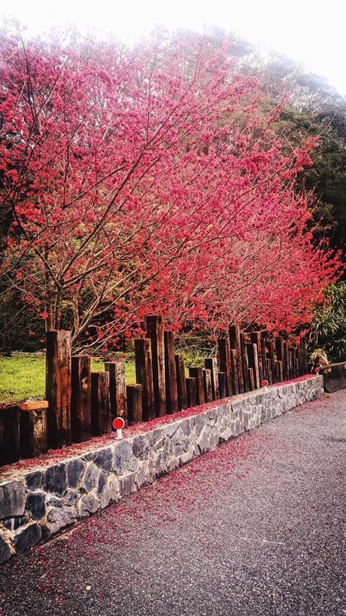 Taroko Formosa Homestay Xiulin Zewnętrze zdjęcie