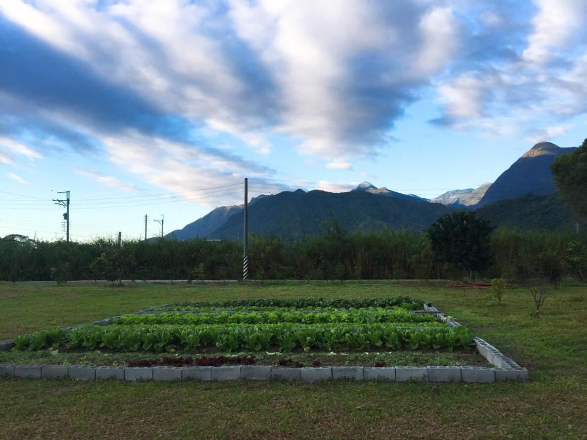 Taroko Formosa Homestay Xiulin Zewnętrze zdjęcie