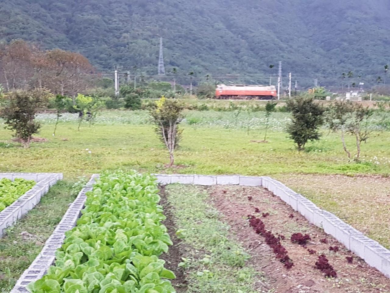 Taroko Formosa Homestay Xiulin Zewnętrze zdjęcie